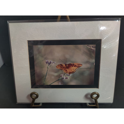 Original Orange Butterfly on Flower Photograph Signed Dan Evans Matted