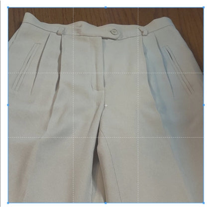 Nygard Size 4 Petite Pleated Pants career Cream High Waisted Classic Dress