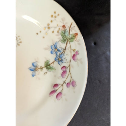 Vintage Haviland Salad Plate Pink Blue Green Plum Blossom  Floral Flower Branch