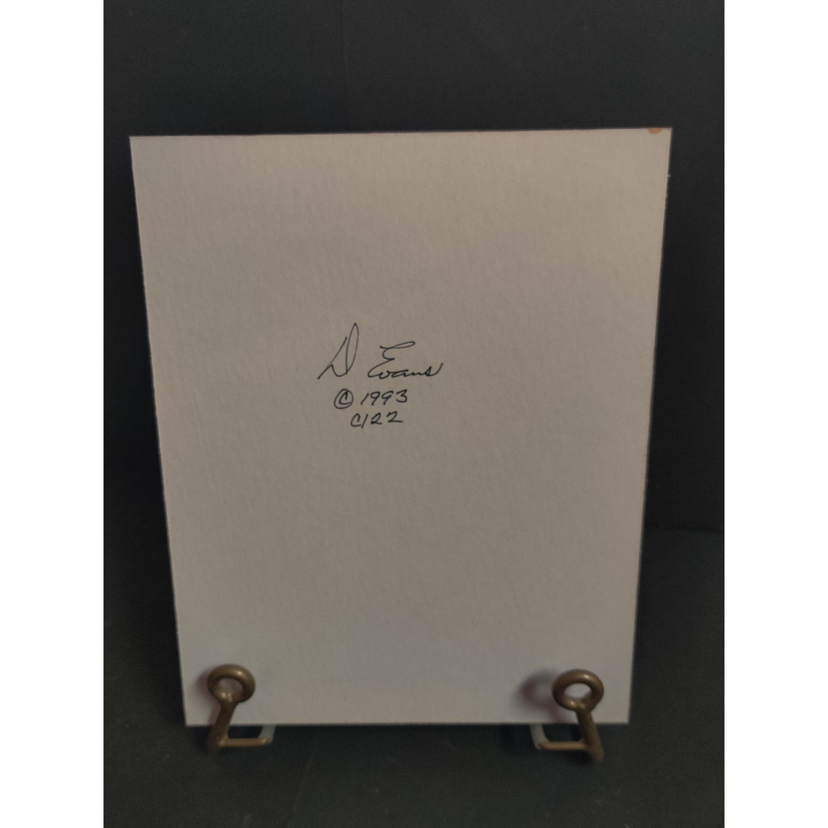Original Blanket Flower Photograph Signed Dan Evans 1993 Matted