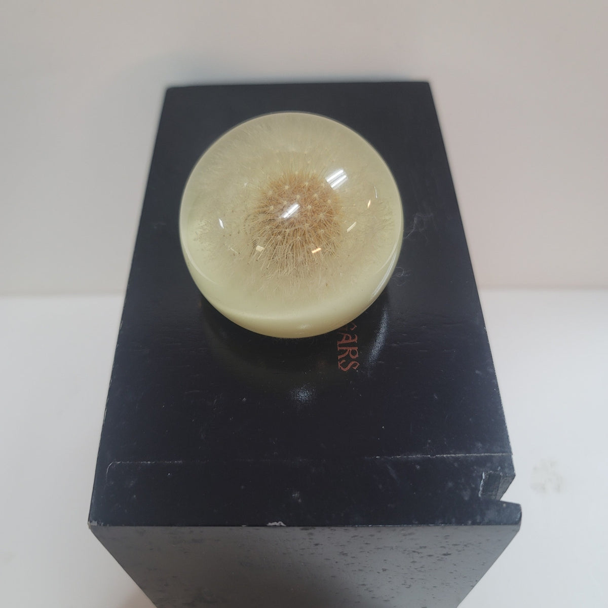 Vintage Lucite encapsulated dandelion paperweight office work Collectible flower