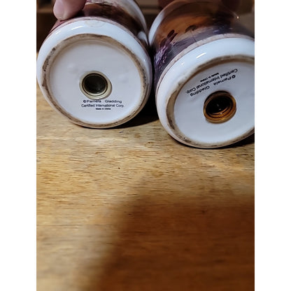 Windsor by Certified International Pamela Gladding Salt & Pepper Set