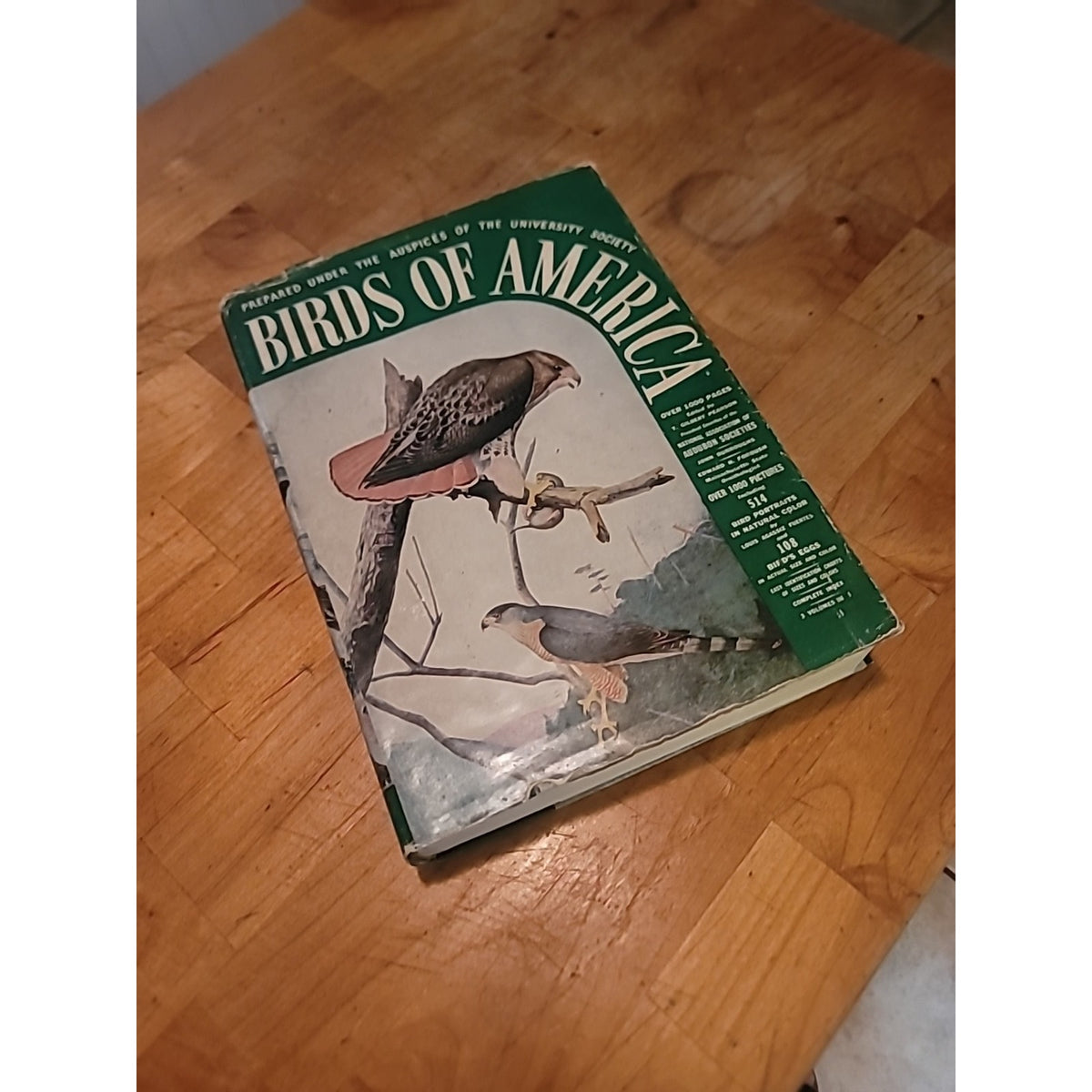 Excellent 1936 BIRDS OF AMERICA c/ Louis Agassiz Fuertes Plates all 3 Vols in 1