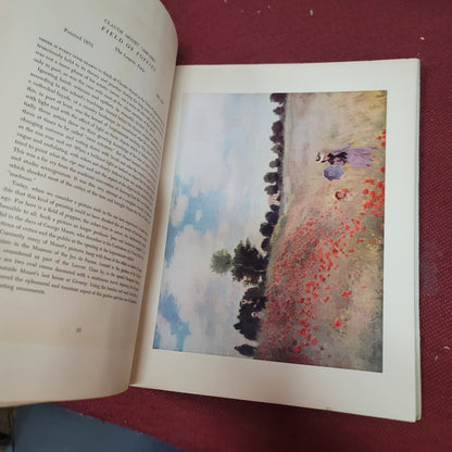 Abrams Art Book French Impressionists Art Prints the library of great painters