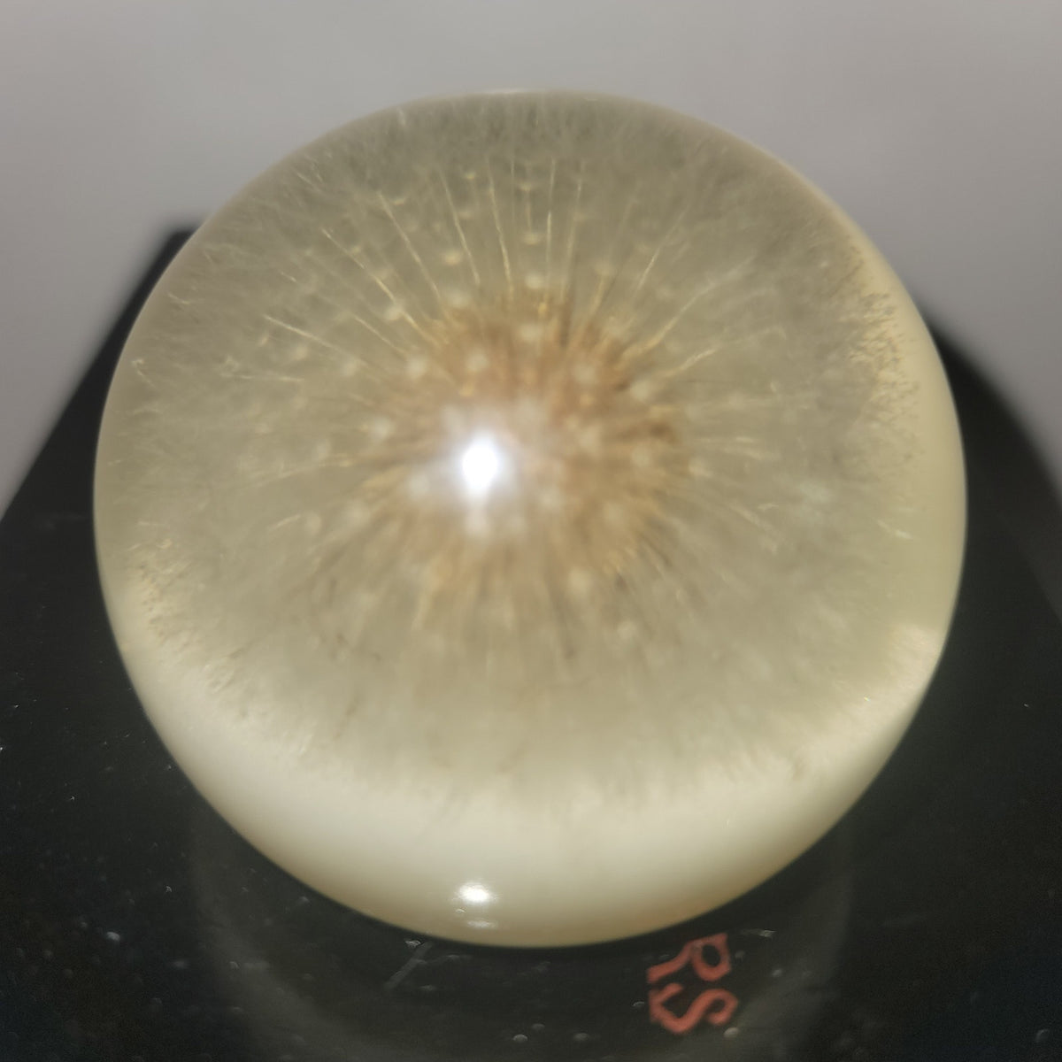 Vintage Lucite encapsulated dandelion paperweight office work Collectible flower