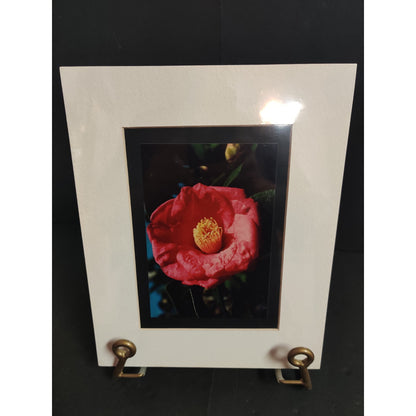 Original Red Camellia Photograph Signed Dan Evans 1993 Matted Floral Art
