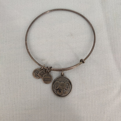 Vintage Alex and Ani Charm Bangle Rafaelian Silver Tone Expandable