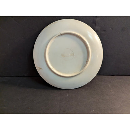 Vintage Lenox Ware Warner Bros Looney Tunes Melamine Plate St Louis MO