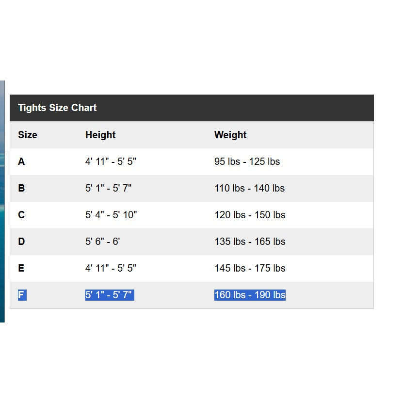 NEW Spanx core black tights Size E