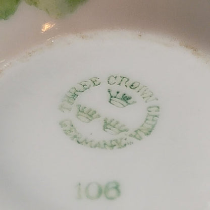 Three Crown China Germany Porcelain Teacup Saucer Floral Handpainted Dainty