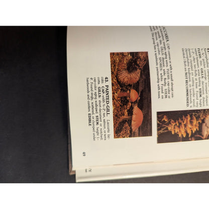 Vintage A Field Guide to Mushrooms and Their Relatives Booth Courtenay 1982