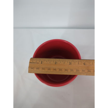 Pendleton National Park Series Red Ceramic Mug - Rainier Stripe