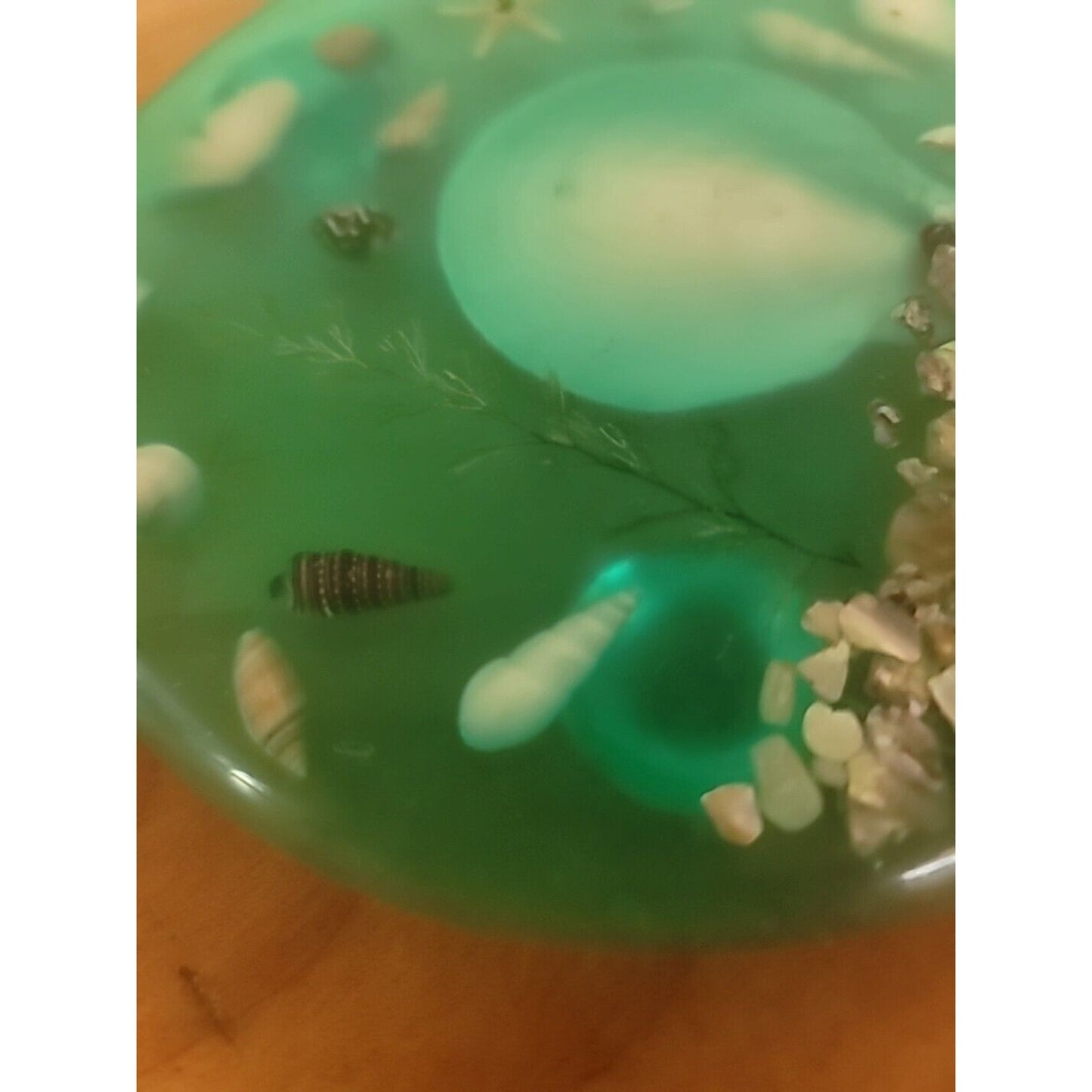 Vintage Lucite Shell & Abalone Round Trivet Green Under Water Scene 7.5" COASTAL