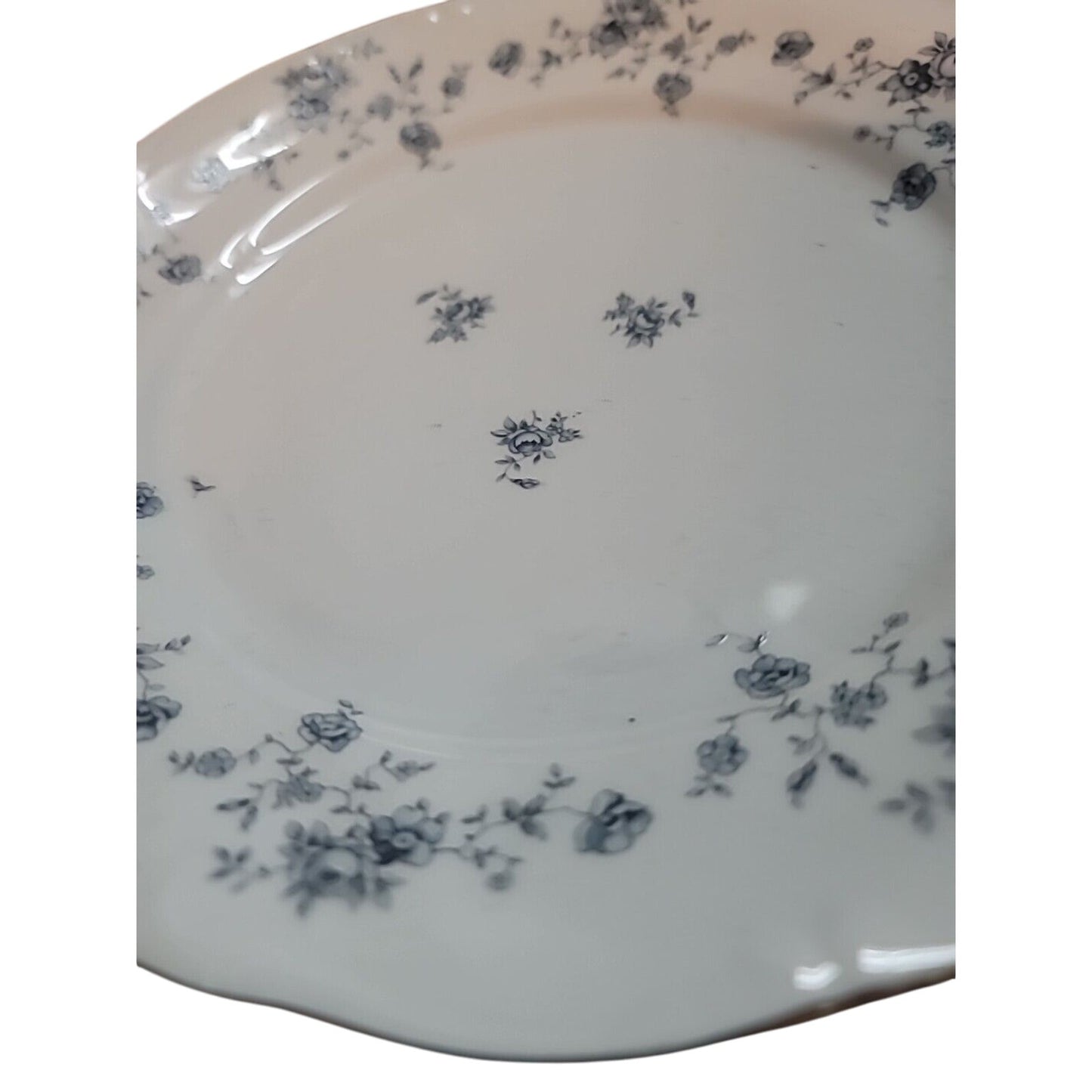 JOHANN HAVILAND Bavaria Blue Garland 10" Dinner Plate Germany SILVER RIM