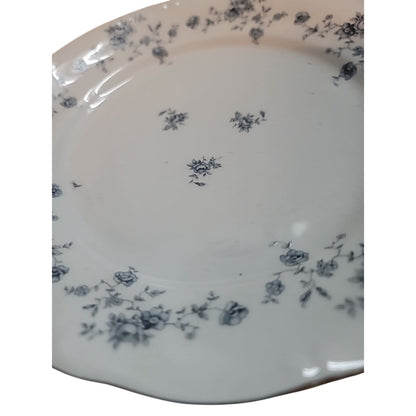 JOHANN HAVILAND Bavaria Blue Garland 10" Dinner Plate Germany SILVER RIM