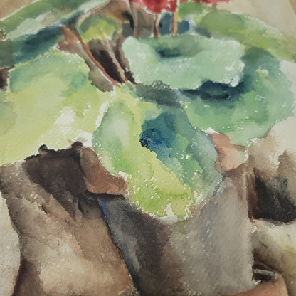 MCM Watercolor Geraniums Floral Still life Unframed on paper 1960s Approx. 22x14