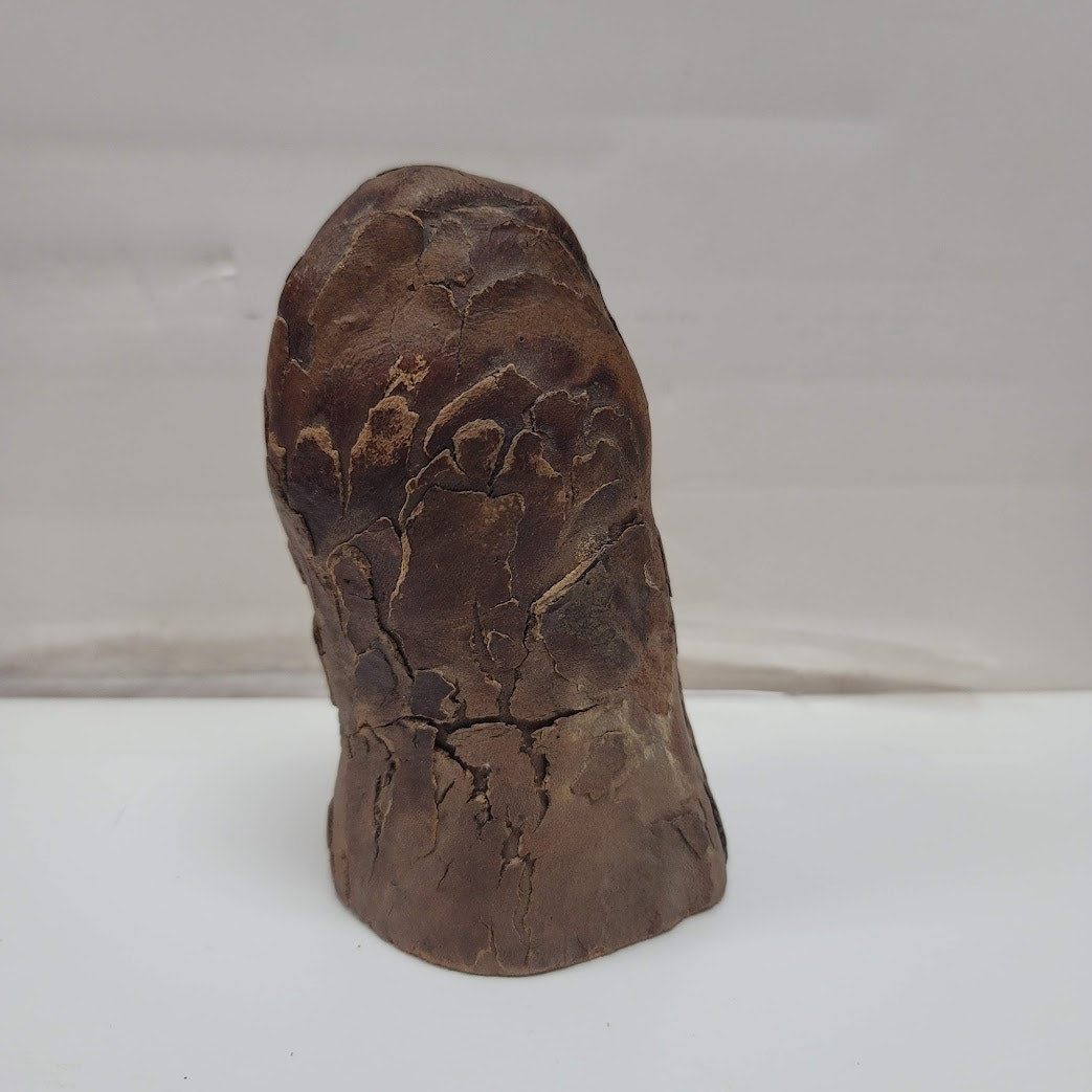 Hand Carved Bob Evan 1984 Tree wood Knob Knee Sculpture MAN GNOME FACE TREEBEARD