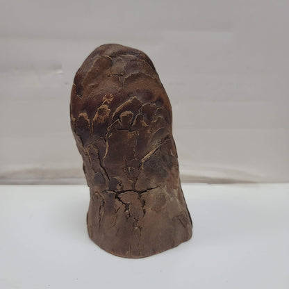 Hand Carved Bob Evan 1984 Tree wood Knob Knee Sculpture MAN GNOME FACE TREEBEARD