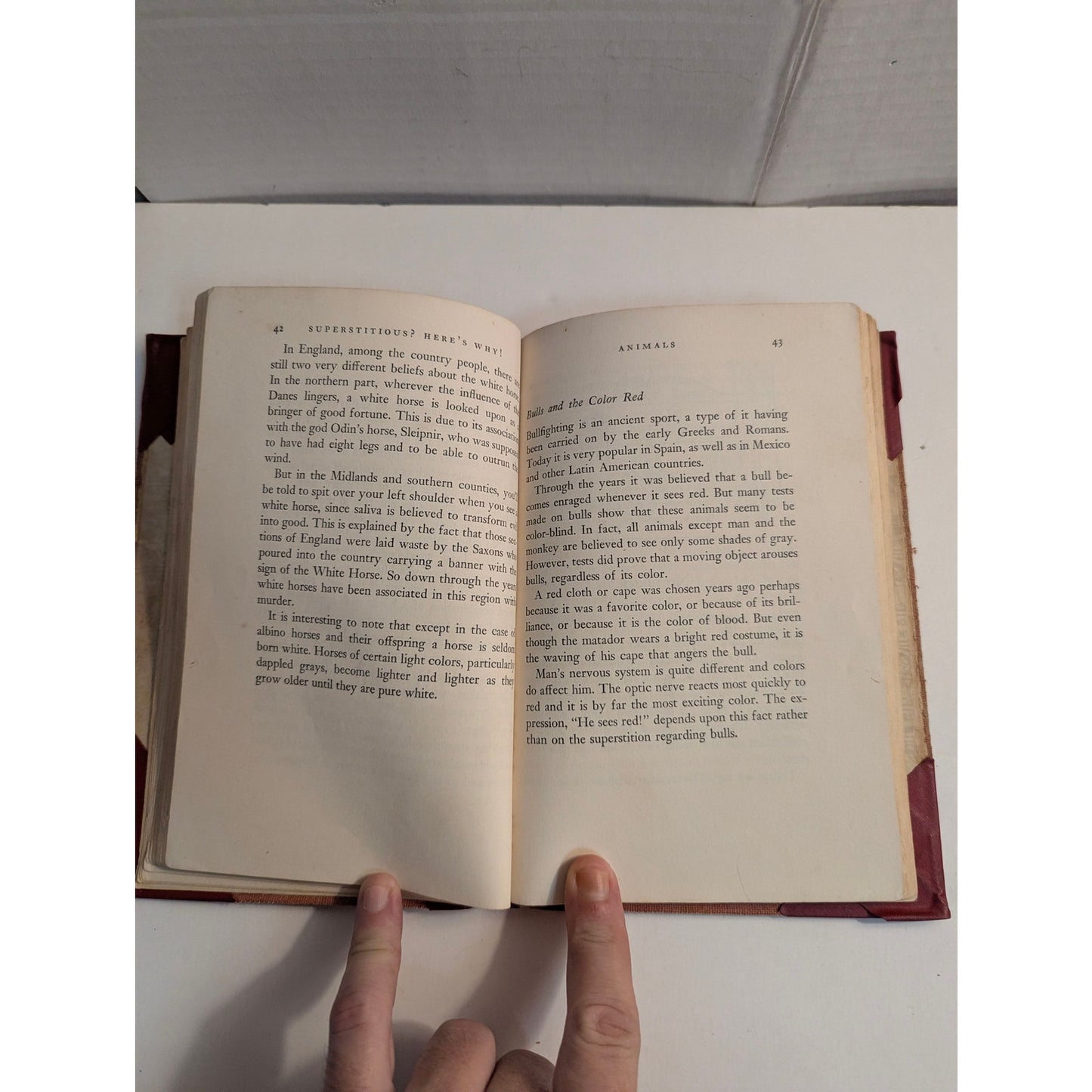 1954 First Edition Superstitious Here's Why Julie Forsyth Batchelor Hardcover