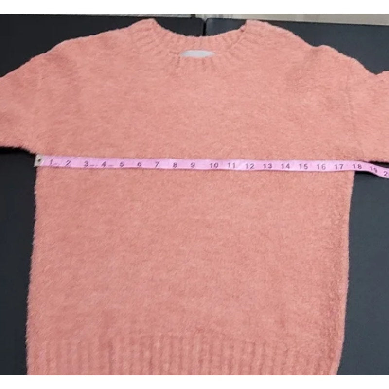 Everlane Coral Teddy Heather Crew Neck Sweater Women XS New Casual Career Winter