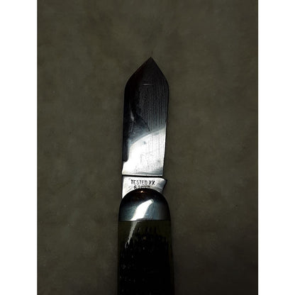 Case Tested XX 62050 Pocket KNIFE Green Bone Scale Sunfish Elephant Toenail