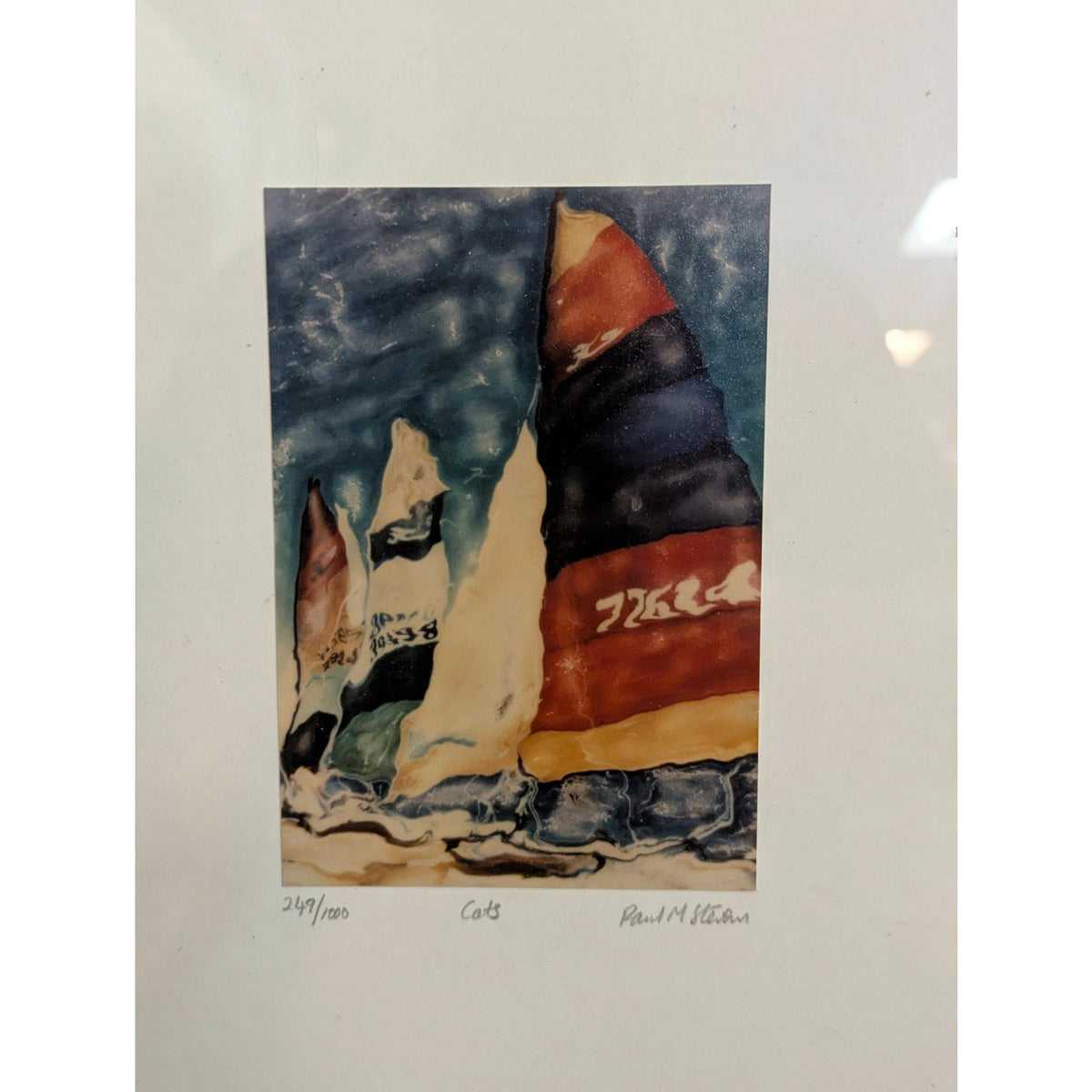 249/1000 CATS by Paul M. Stevens ? Framed Catamarans Art Print Glass Metal