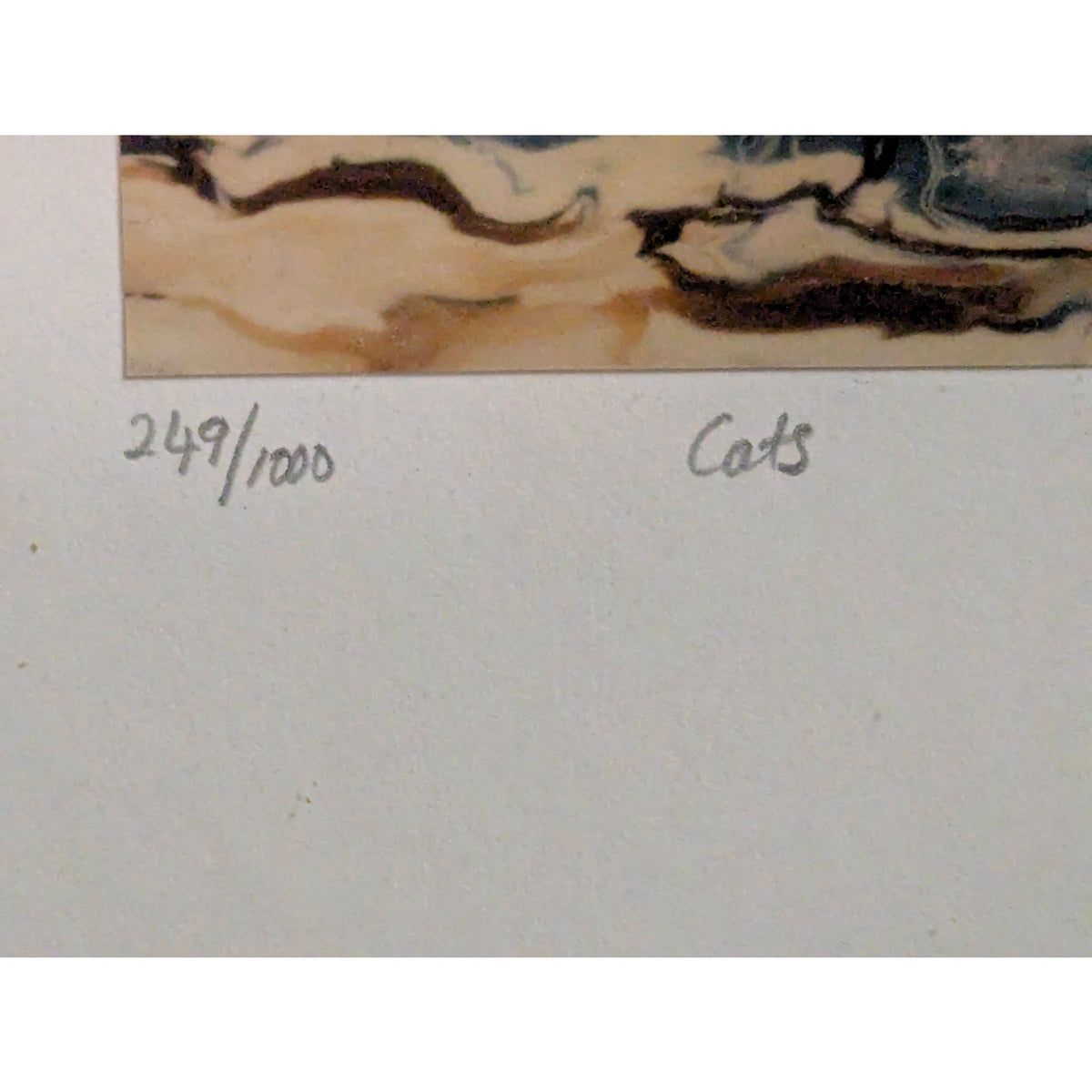 249/1000 CATS by Paul M. Stevens ? Framed Catamarans Art Print Glass Metal