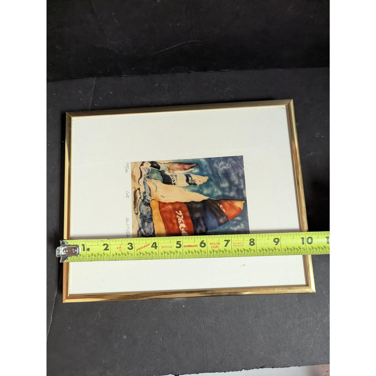 249/1000 CATS by Paul M. Stevens ? Framed Catamarans Art Print Glass Metal