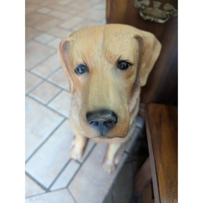 Secondhand Sandies: 26" tall Yellow labrador Sitting Dog polyresing statue retriever