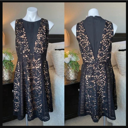 Chelsea28 black lace over nude liner Sleeveless Fit & Flare Cocktail Dress SMALL