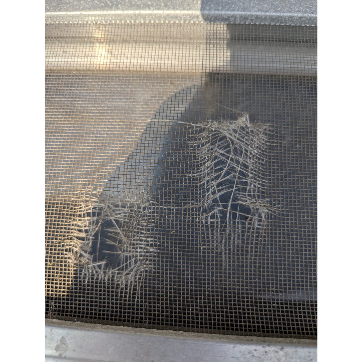 1976 Scotty Serro Camper ORIGINAL Window metal screen aluminum glass BATHROOM