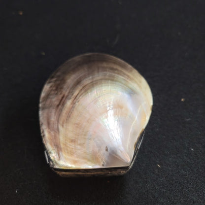 Large Handcrafted White Capiz Seashell Abalone Mosaic Jewelry Trinket stash Box