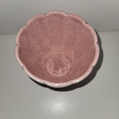 Vintage Pink Speckled Flowerpot Red Wing USA 1960 AND 1950s ribbed SUCCULENTS