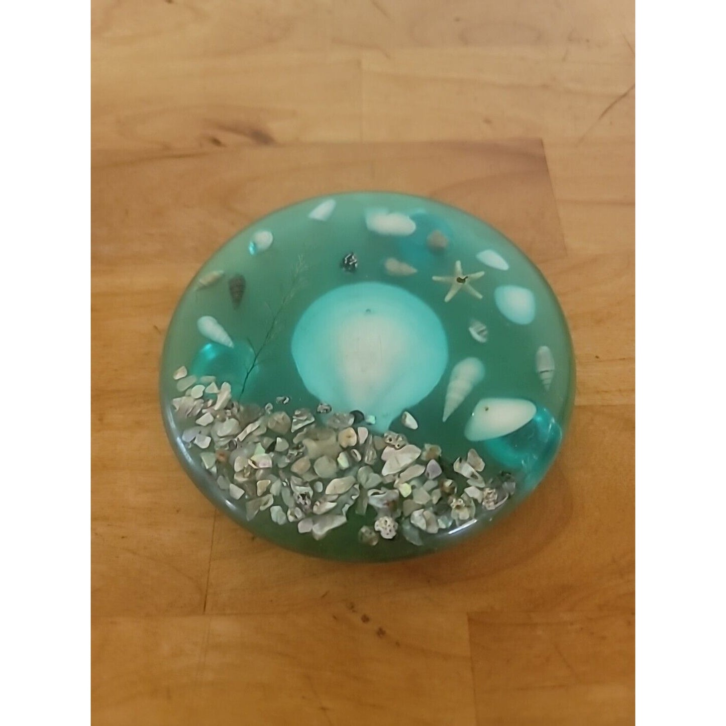 Vintage Lucite Shell & Abalone Round Trivet Green Under Water Scene 7.5" COASTAL
