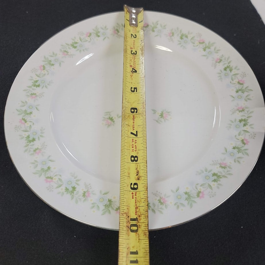 Johann Haviland Bavaria Germany Forever Spring LOT of 7 Dinner Plates