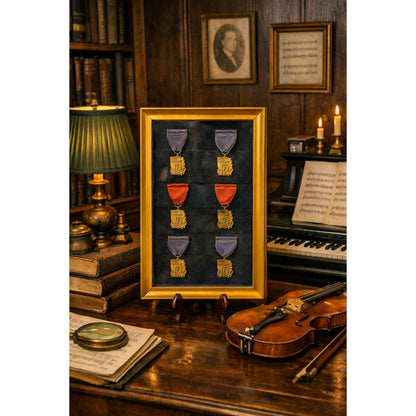 Georgia Music Educators Assn. Medals Shadow Box Band Orchestra Festival
