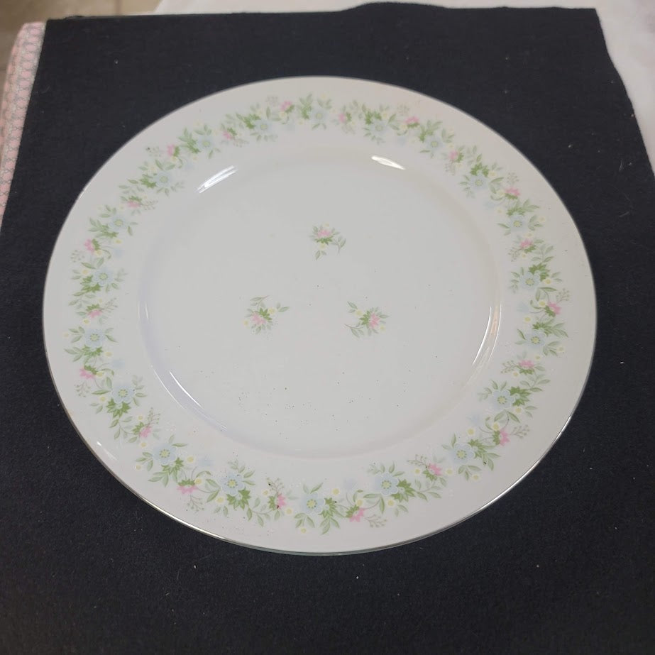 Johann Haviland Bavaria Germany Forever Spring LOT of 7 Dinner Plates