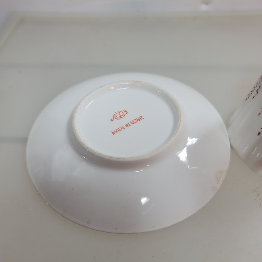 Lomonosov Teacup and Saucer Pink Flowers Green Leaves Russia USSR Vintage