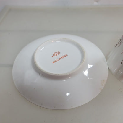 Lomonosov Teacup and Saucer Pink Flowers Green Leaves Russia USSR Vintage