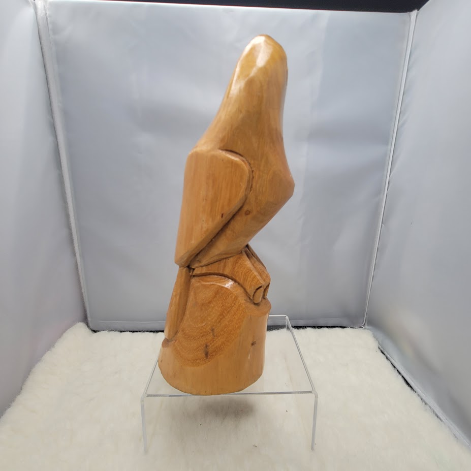 Artisan Hand-Carved Tropical Wood Parrot Figurine - Signed tropical Bird Avian