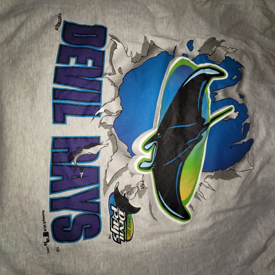 Vintage Tampa Bay Devil Rays Nutmeg T-Shirt 90s Y2K MLB Sportswear Grey Large