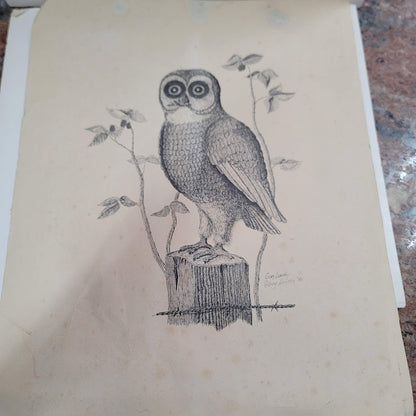 Gary Lundy Signed Owl print 18" x 15" Unframed 1980 Vintage