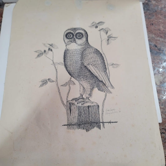 Gary Lundy Signed Owl print 18" x 15" Unframed 1980 Vintage