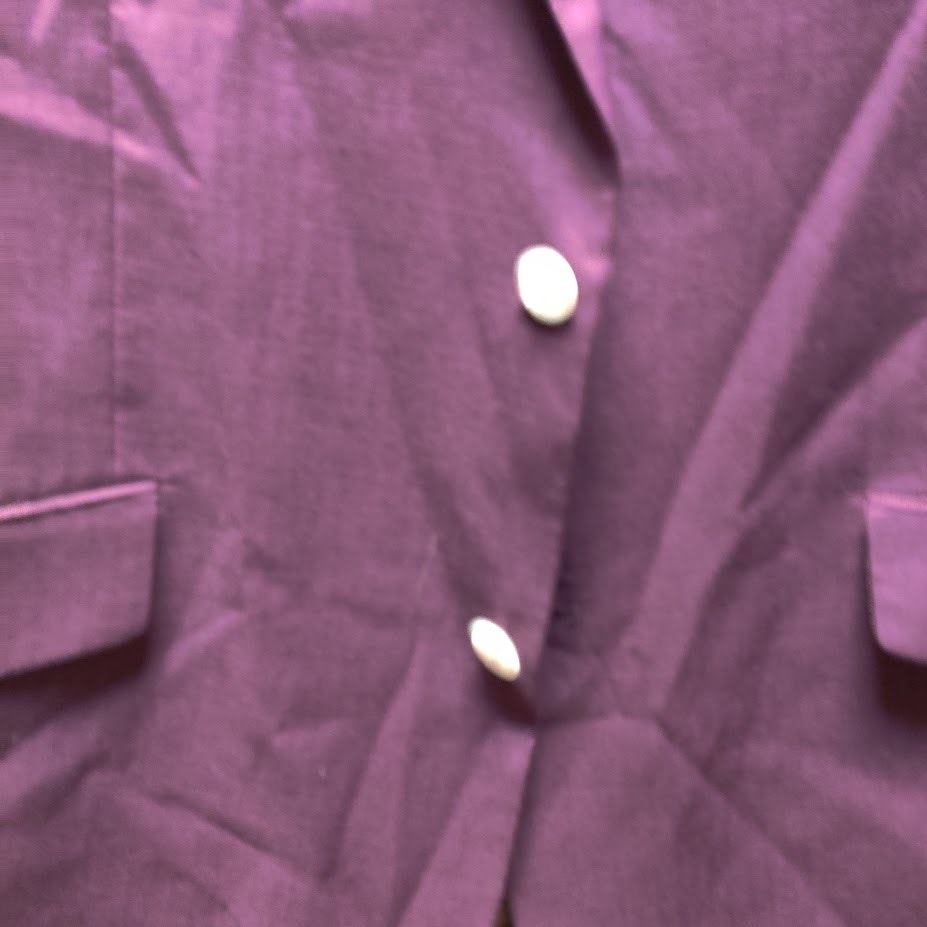 Linea Uomo 48 Long Plum Purple Blazer Sport Coat Paisley Lining Stretch