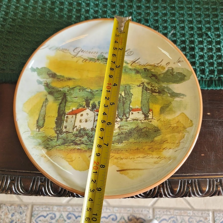 Williams Sonoma 2008 Marc Lacaze Italy Paysage 9 1/2" SINGLE Salad Plate NICKED