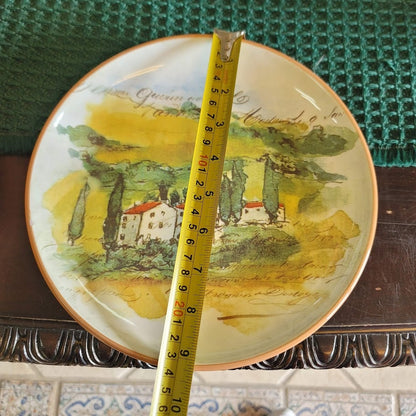 Williams Sonoma 2008 Marc Lacaze Italy Paysage 9 1/2" SINGLE Salad Plate NICKED