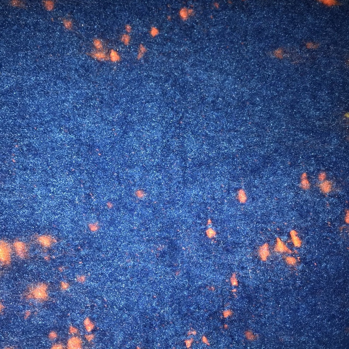 DKNY NEW Blue Orange Speckled Long Fringe Scarf OVERSIZED Wrap GATOR