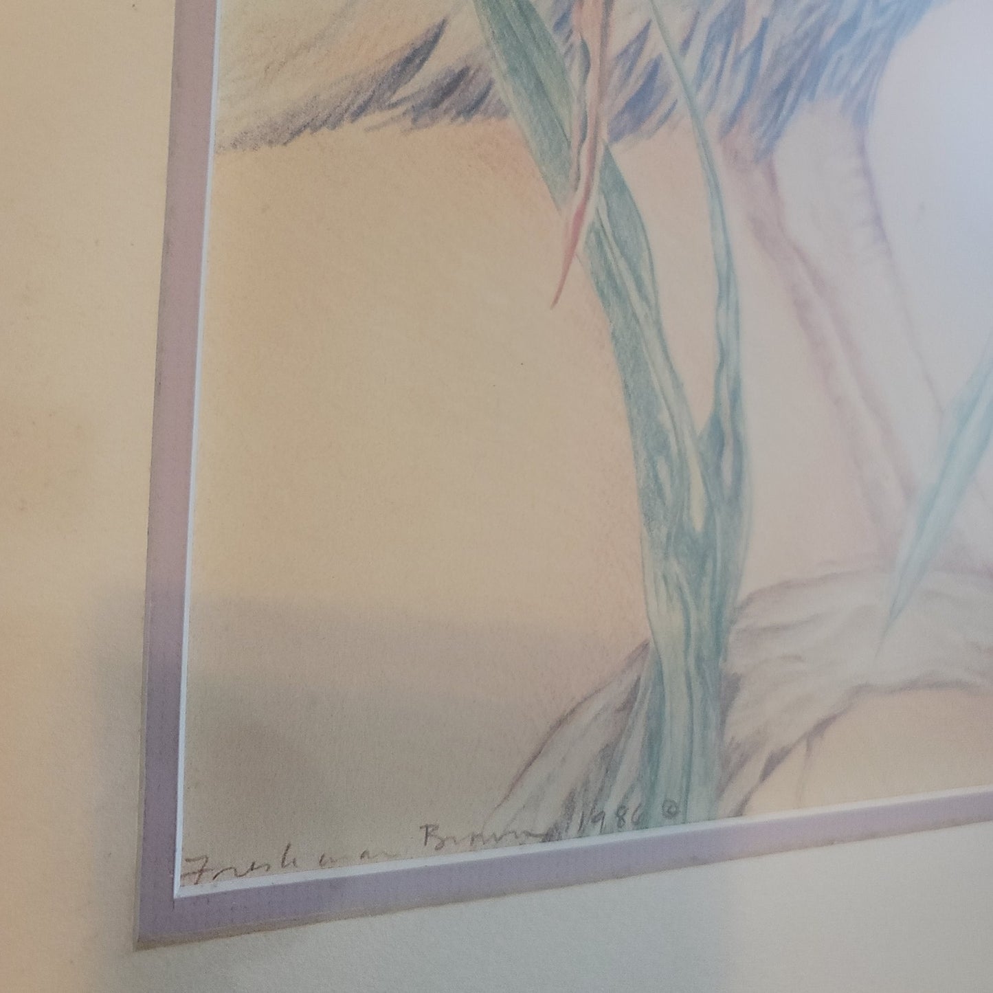 Original Louise Freshman Brown 1986 Framed Glass Blue heron / pelican pencil Art