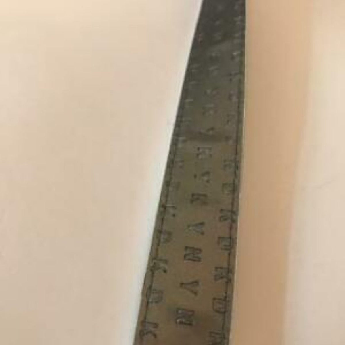 NWT DKNY Faux Snake Skin Print Adjustable Belt