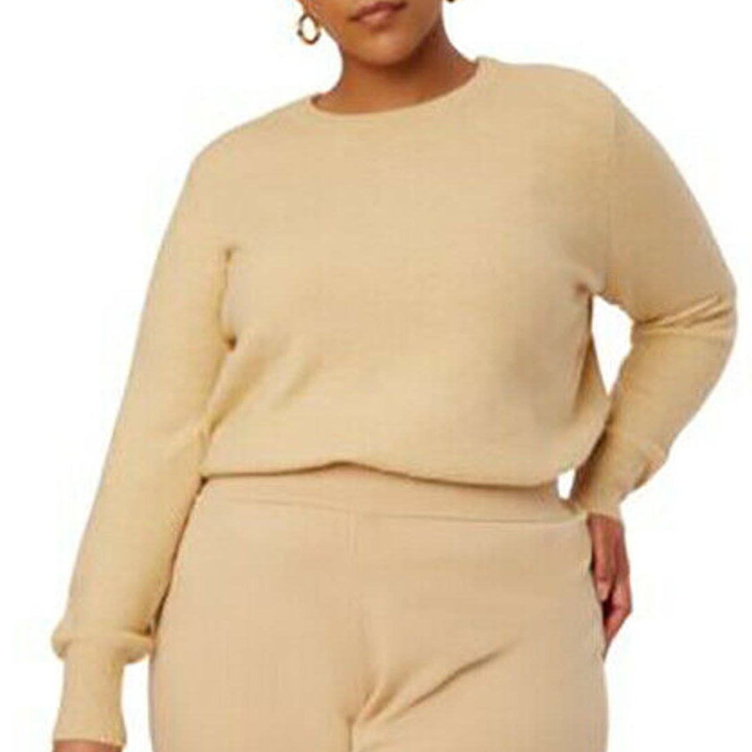 Danielle Bernstein Trendy Plus Size Pullover Sweater Long Sleeve Crew Neck 2X